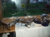 dscf0658